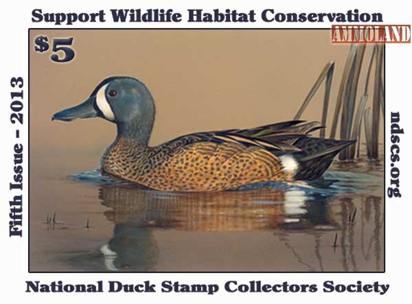 National Duck Stamp Collectors Society 2013 Stamp