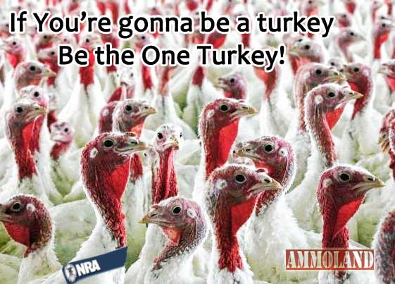 Be The One Turkey