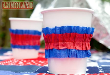 Patriotic Picnic