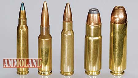 Popular Ar15 Calibers Popular Ar15 Calibers
