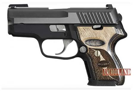 SIG SAUER P224 Pistol