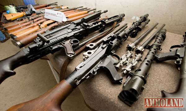 Survival Guns Survival Guns