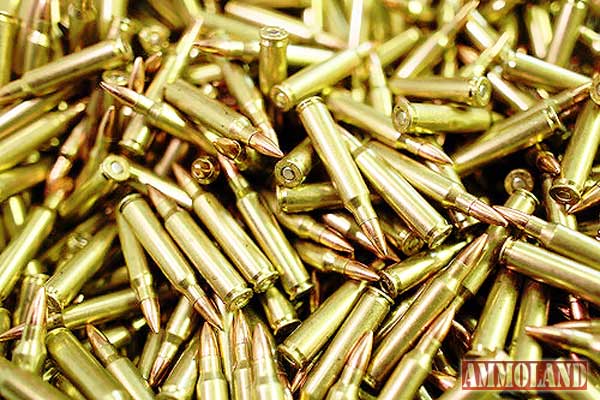 223 Ammo Brass