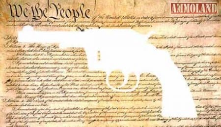 We the People Keep and Bear Arms