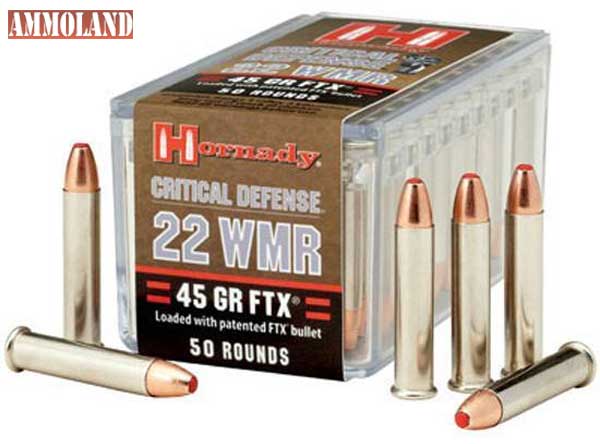 .22 Magnum ammo