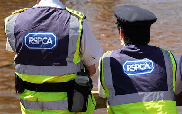 RSPCA