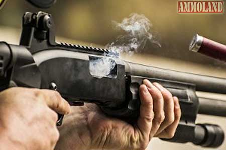 Shot Gun and Shell Shot Gun and Shell