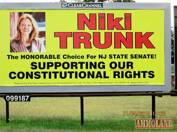 Niki Trunk for NJ Senate Billboards