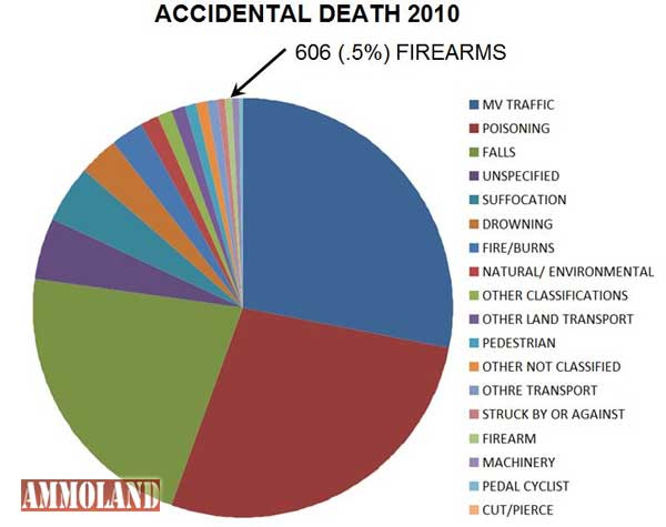 Accidental Death 2010