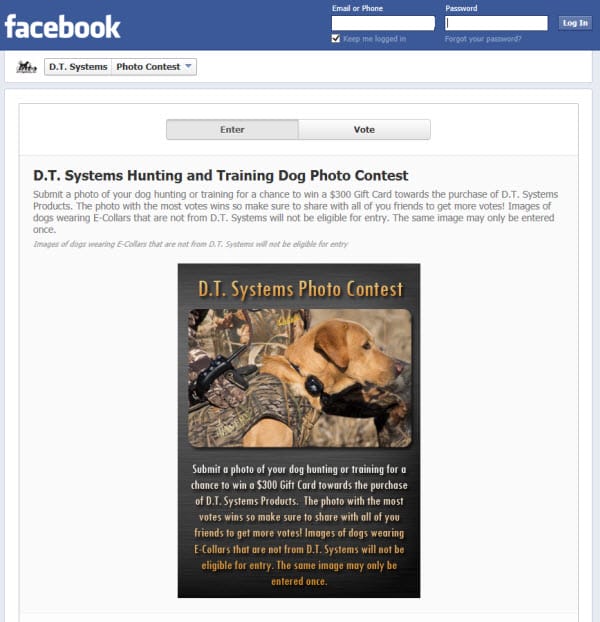 D. T. Systems Announces Photo Contest on Facebook
