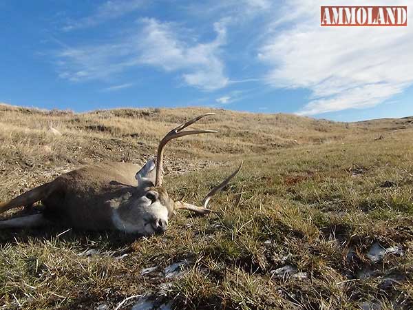 Mule Deer Poaching Case
