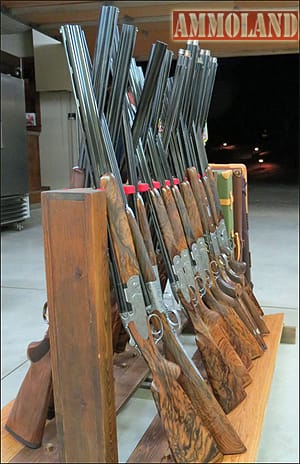 Shotguns from the Beretta Premium Division ready to shoot at Highland Hills Ranch.