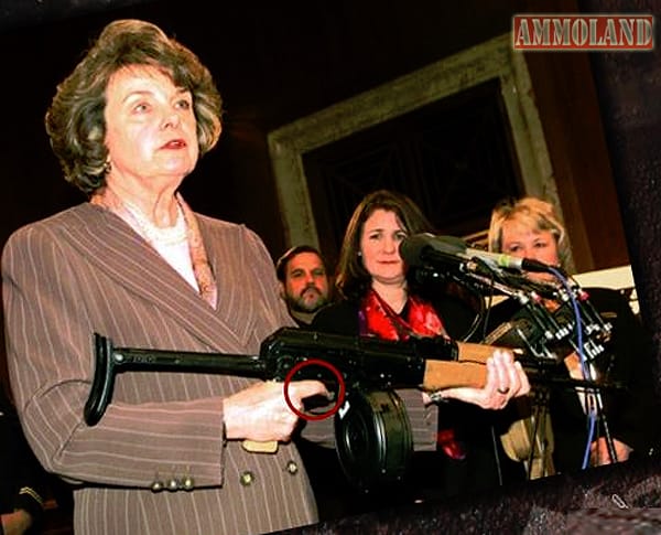 Gun Banner Dianne Feinstein