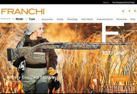 New Franchi Website