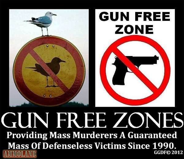 Seagull Free Zones