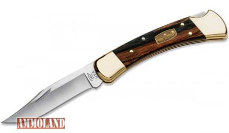 Buck Knives 110 Folding Hunter