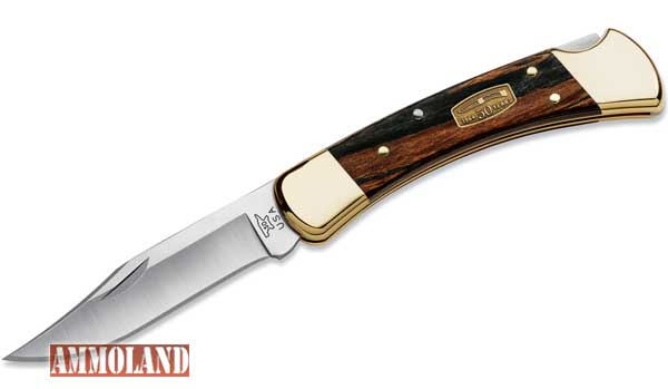 Buck Knives 110 Folding Hunter