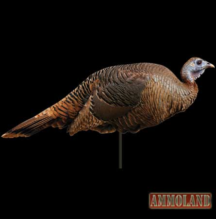 Montana Decoy Spring Fling Hen Turkey Decoy