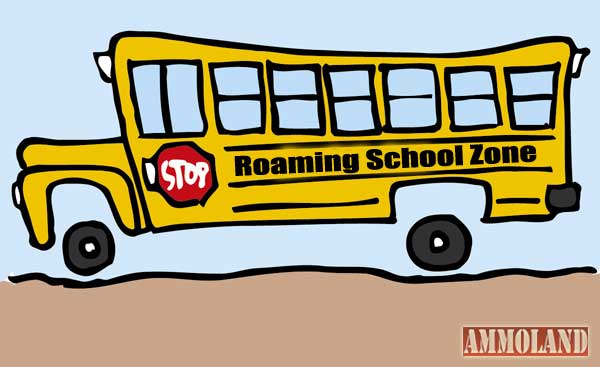 Roaming School Zone