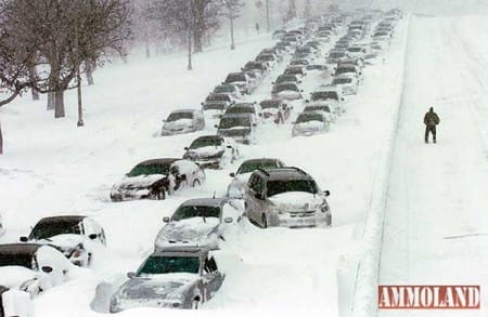 Snow Bound Cars
