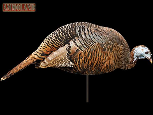 Montana Decoy Dinner Belle Turkey Hen Decoy