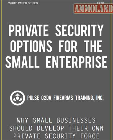 Private Security Options For The Small Enterprise