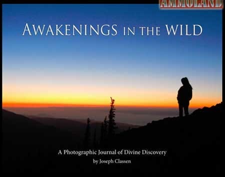 AWAKENINGS IN THE WILD eBook