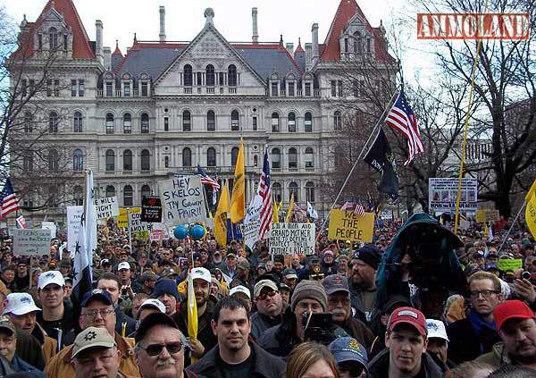 Albany NY SAFE Act Protester