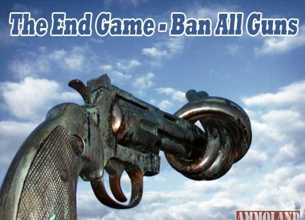 End Game Ban All Guns