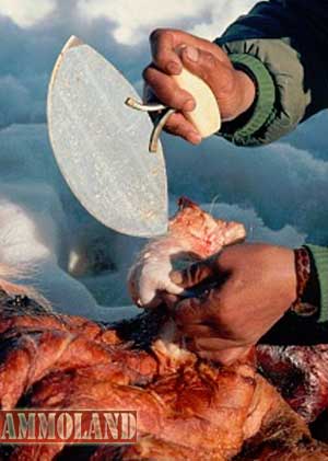 Eskimo women armed with Ulu knives