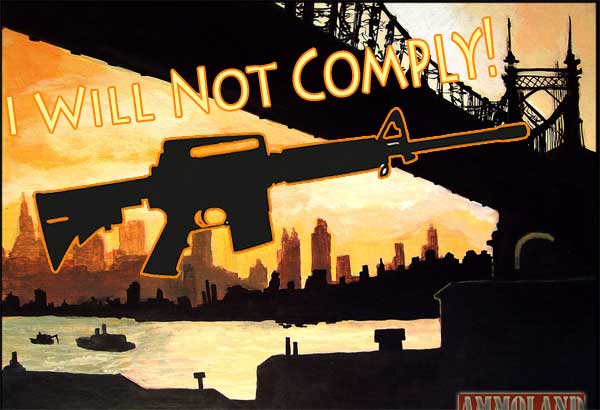 I Will Not Comply New York