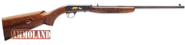 Browning Semi-Auto .22 Rifle