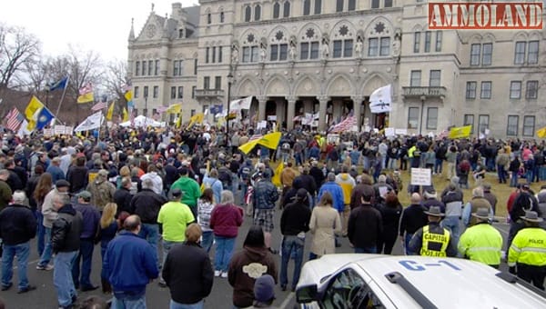 Connecticut Gun Rally 2014