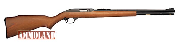 Marlin Model 60 Rifle With 15 Shot Magazine