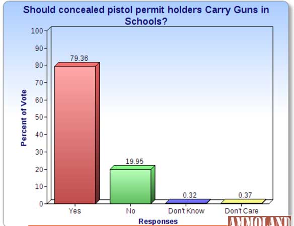 Online Poll Guns in Schools