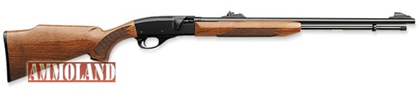 Remington 552 With 15-22 Shot Magazine