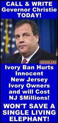 New Jersey Ivory Ban