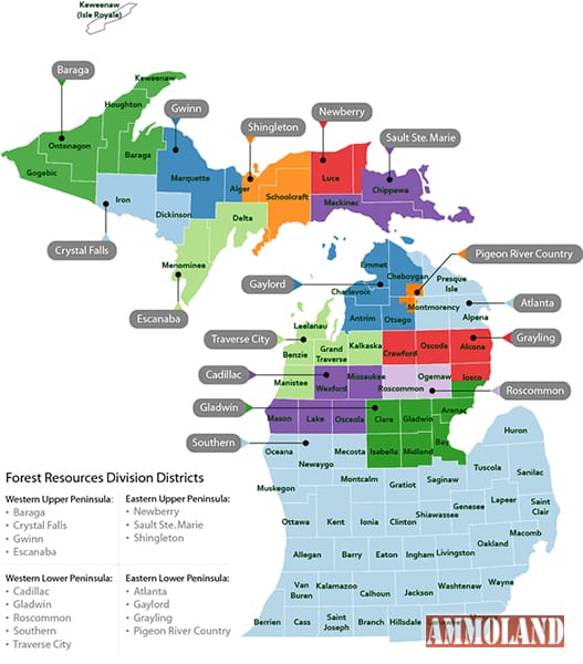 Forest Management Map