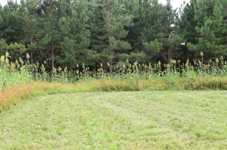 Creating a Blind Spot - Mossy Oak GameKeepers Creating a Blind Spot - Mossy Oak GameKeepers