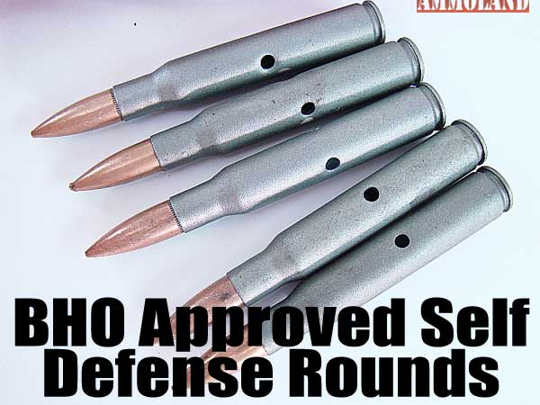 30-06 Dummy Rounds