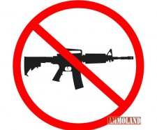 AR15 Gun Ban No Guns