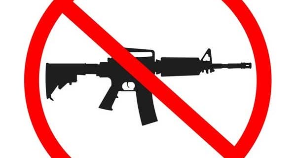 AR15 Gun Ban No Guns