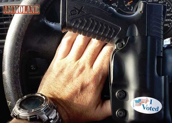 I Voted Gun Voter