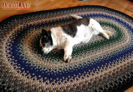 Maggie Enjoying the Colonel Harl's Hand Made Rugs