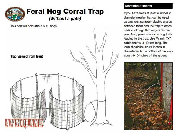 Feral Hog Corral Trap