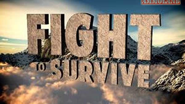 Fight To Survive