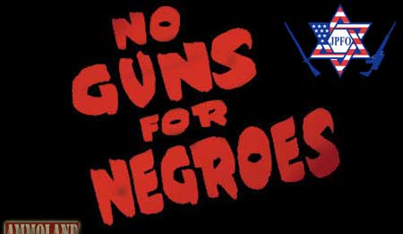 No Guns For Negroes