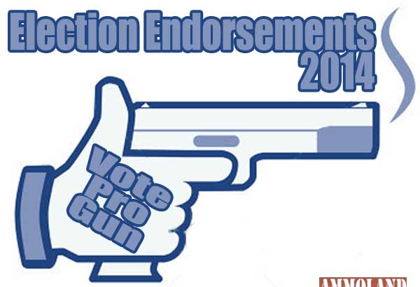 Pro Gun Election Endorsements