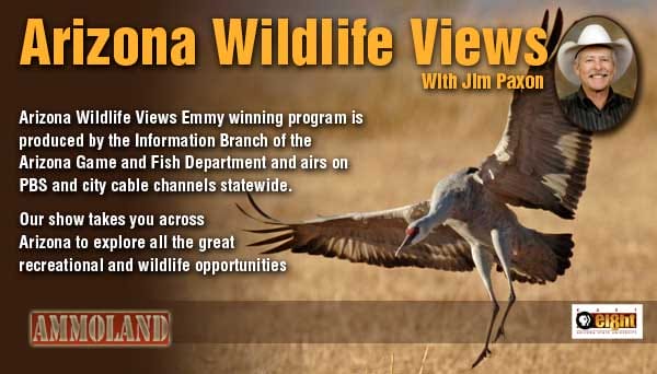 Arizona Wildlife News