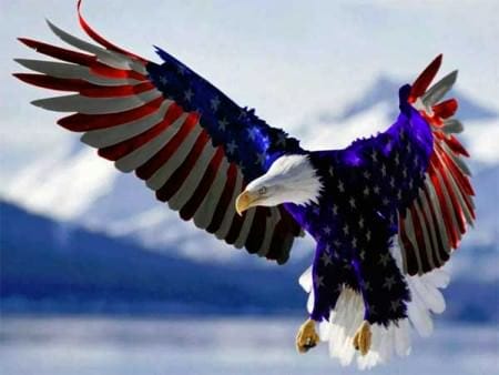 American Flag Eagle